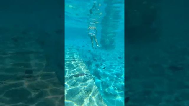 Reef коралловый риф  затонувший город Otium Pyramisa  Sahl Hasheesh Albatros Citadel Royal Tulip