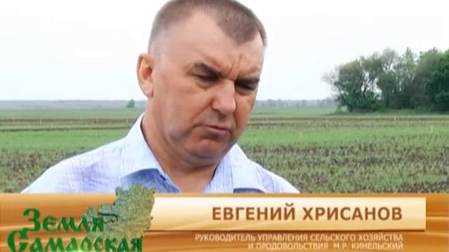 Земля Самарская 06.06.2013 смотреть онлайн
