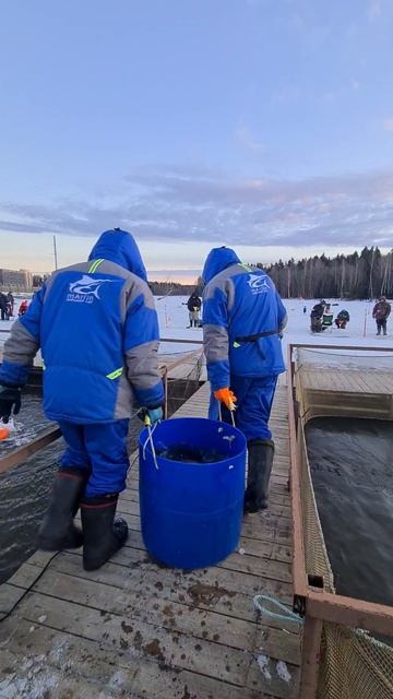 Запуск форели смотреть онлайн