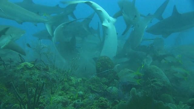Holiday Cuba 2015 смотреть онлайн