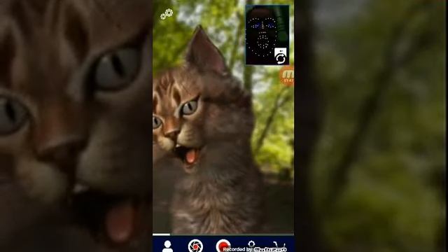 Обзор на facerig на андроид смотреть онлайн