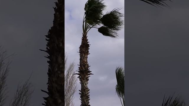 Лера Астрооберег, делает прогноз на 18 апреля. Смотреть сейчас! смотреть онлайн