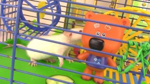 Кеша и его Белые Крыски Ириска и Анфиска! Ми-ми-мишки и новые друзья питомцы видео для детей