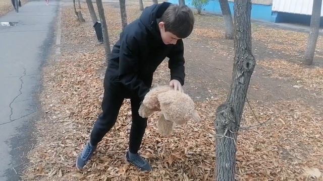Плюшевый Мишка смотреть онлайн