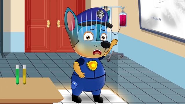 PAW Patrol - CHASE STUDY HARD - Wheels On The Bus+Old MacDonald Had A Farm Animal Sounds Song