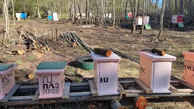 4 мая. Старая пчела отошла, а новая не наросла - Рано расширять. смотреть онлайн