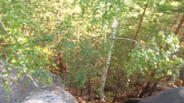 Черничный круг смотреть онлайн