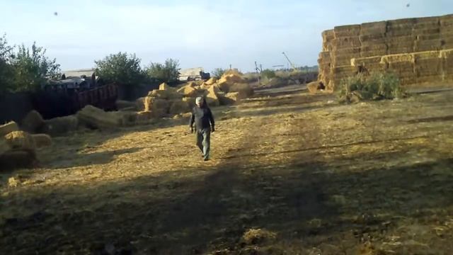 Мне 45 тогда. Шандоры. Требуется до 45 монтажник Ст и ЖБК. Директора тупые(31) смотреть онлайн