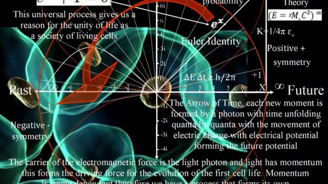 The Physics of Time! Magnetic Moment, Time Symmetry, Quantum Potential & Uncertainty смотреть онлайн
