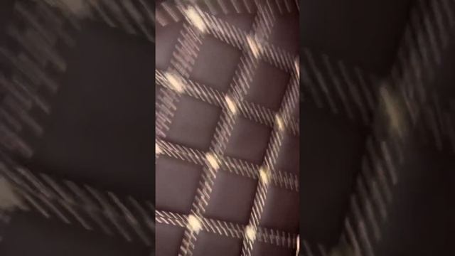 23 января 2024 г.