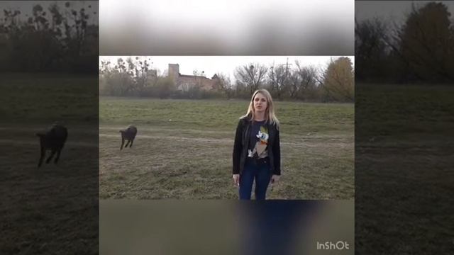 1 клас ядс смотреть онлайн