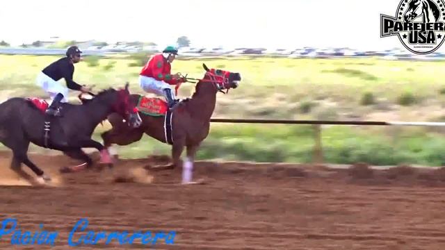 Carrera de El Cadete vs El Gato Americano 5 30 2015 смотреть онлайн