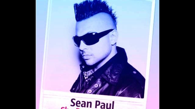 Sean Paul -- She Doesn t MindDj Brus bootleg