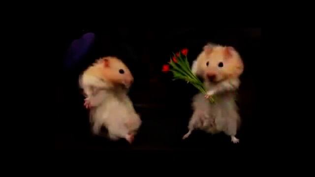 Эксперимент с ХОМЯКАМИ и некачественной едой! Результат Постнов С Е смотреть онлайн