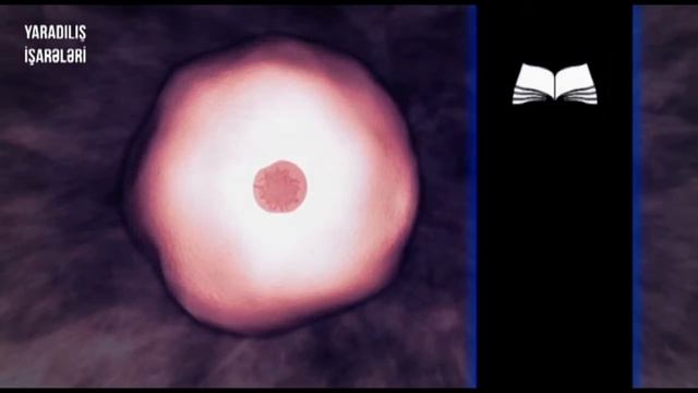 DNT Möcüzəsi смотреть онлайн