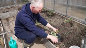 САМЫЙ ПРОСТОЙ ПОЛИВ В ТЕПЛИЦЕ