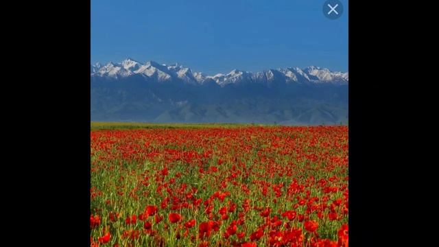 Найман тарихы смотреть онлайн