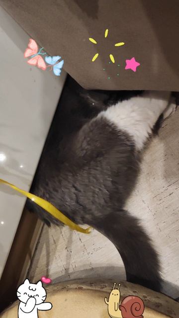 Главное то, что у тебя внутри, а не снаружи! Тогда ты сможешь видеть звëзды! смотреть онлайн