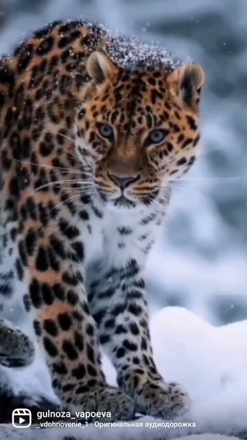 4 марта 2022 г. смотреть онлайн