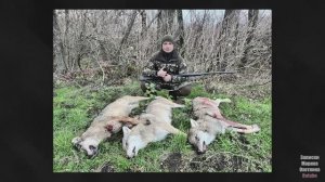 Идеальная Охота на волка. Три выстрела Три волка