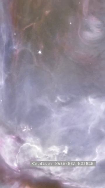 SPACE Butterfly 🦋- spaceinfo.club смотреть онлайн