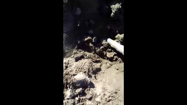 Копаем денарии в Днепропетровской области. Сливаем место копа. digging Roman coins in Ukraine смотреть онлайн