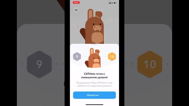 Walken Первая моя котАтлета перешла на 10й уровень! + соревнования #shorts