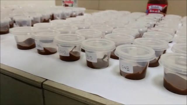 Sensory Analysis Project: Hazelnut Chocolate Spread смотреть онлайн