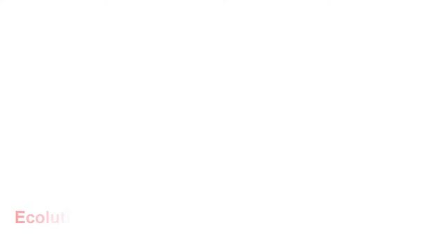 Best Carbon Steel Woks on Amazon 2022 | Top 5 Carbon Steel Woks Review смотреть онлайн