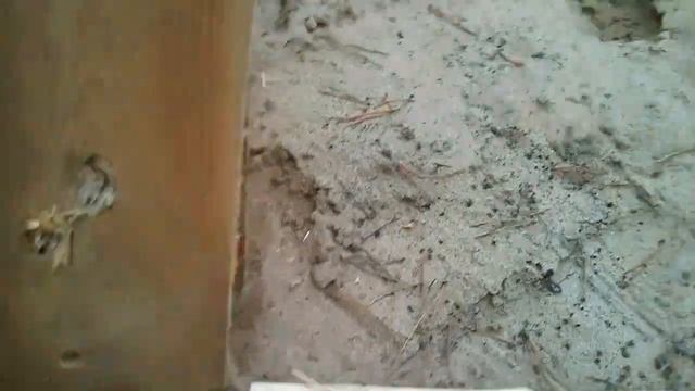 Впо 209 Экспансивность пуль СП13, Кион13, ФМЖ, калибра 366 ТКМ смотреть онлайн