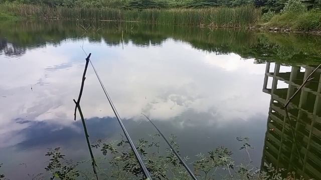 MANCING LIAR CIKARANG PAKAI JORAN 54 M BABON AUTO NGUMPUL смотреть онлайн