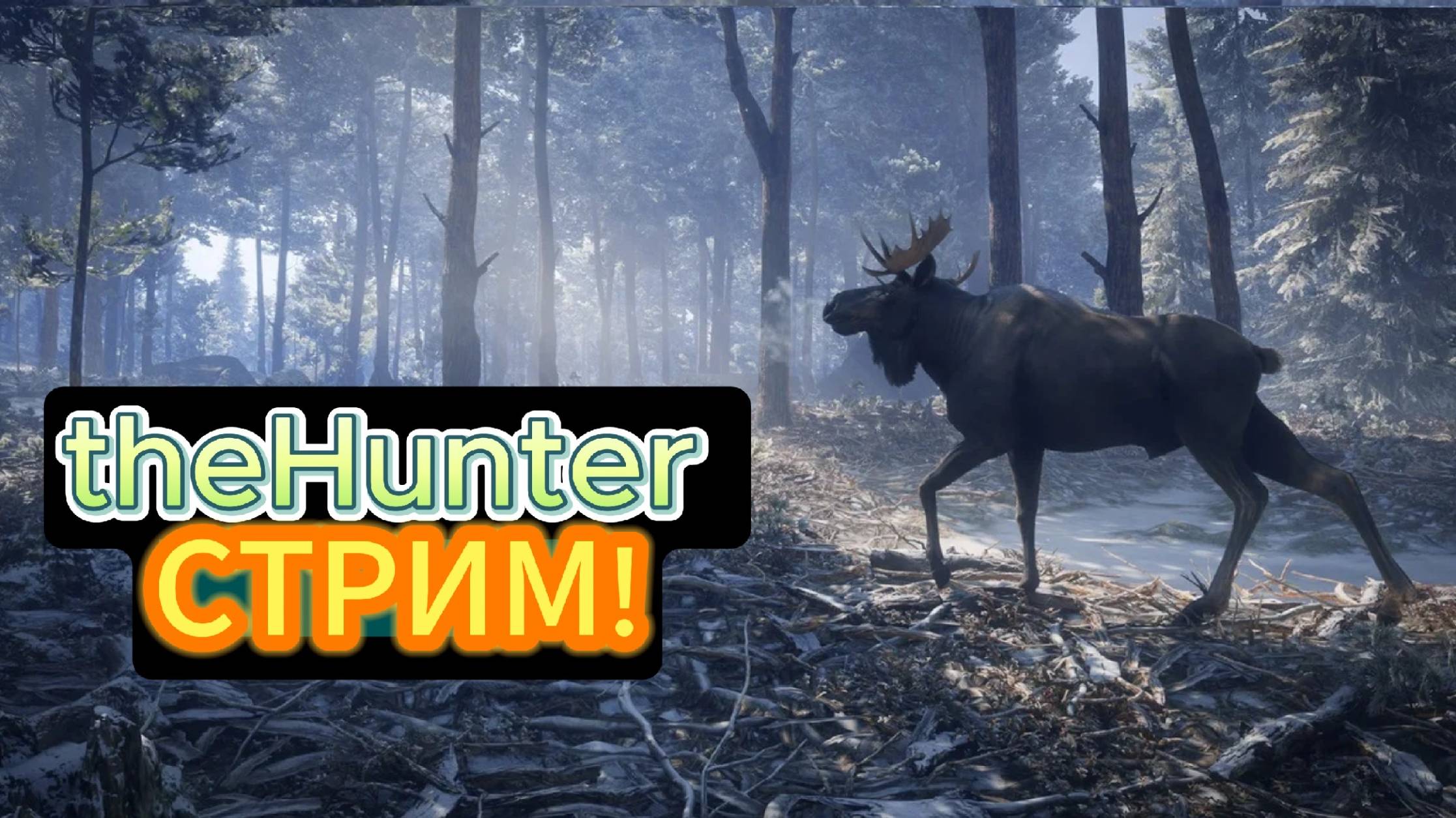 theHunter СТРИМ! ОХОТИМСЯ В ЛЕСУ! смотреть онлайн