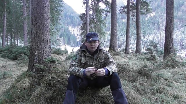 Victorinox Forester 2C - Ein Messer um im Wald sicher zu arbeiten смотреть онлайн