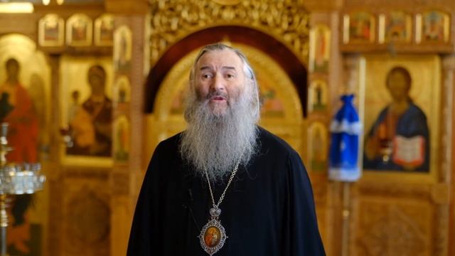 Видеоприветствие митрополита Иоанна участникам Антинаркотического форума "Жить! Любить! Верить!" смотреть онлайн