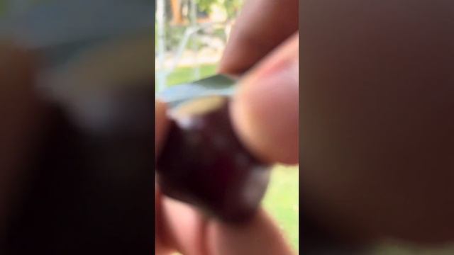 Сетка против червивой черешни - проверка результата смотреть онлайн