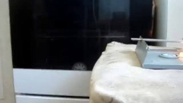 Мини-пушка.mp4 смотреть онлайн