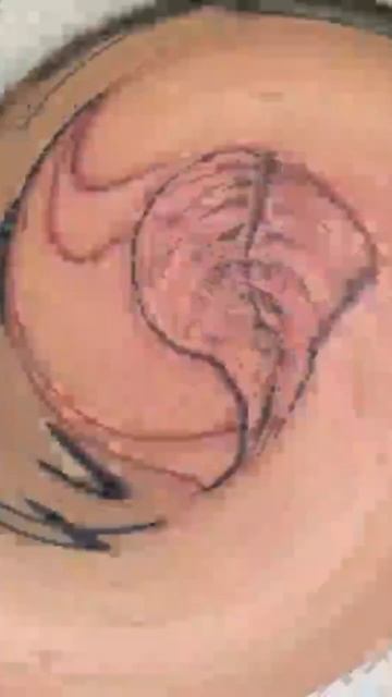 tattoo hand black graphics parachute kiting nature leaf смотреть онлайн