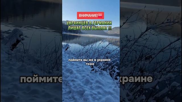 Сопредседатель "Альтернативы для Германии": беженцев надо вернуть на Украину смотреть онлайн