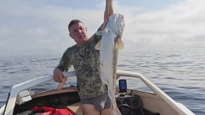 Первая в жизни треска во Владивостоке!