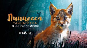 Линцесса. Тайны леса - Lincessa. Los silencios del bosque