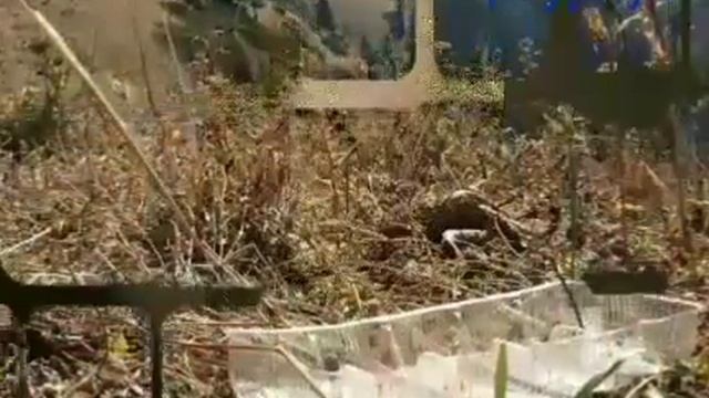 Біз біргеміз ploggingkz смотреть онлайн