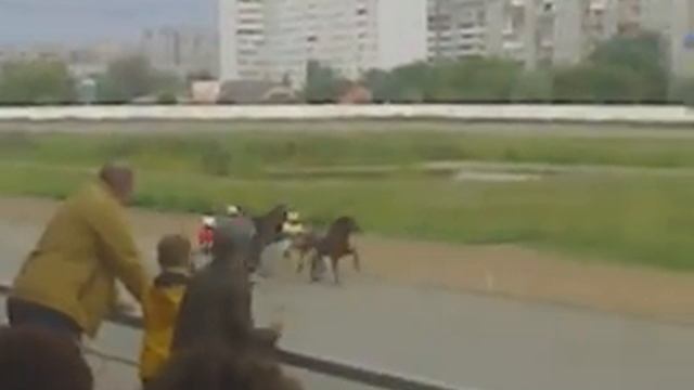 На омском ипподроме. 19 авг. 2018г . часть 1ая. смотреть онлайн