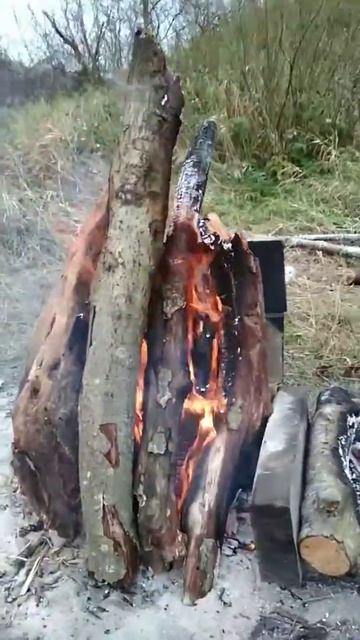 "Покупаем"дрова..))) смотреть онлайн