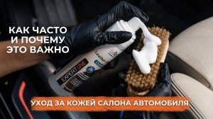 Как ухаживать за кожей салона автомобиля