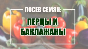 Посев семян: часть 2 "ПОДГОТОВКА И ПОСЕВ СЕМЯН"