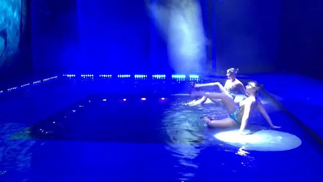 Wow show Synchronized swimming Anita Shyian смотреть онлайн