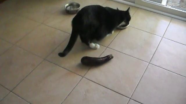 35 2 Второй неудачный эксперимент смотреть онлайн