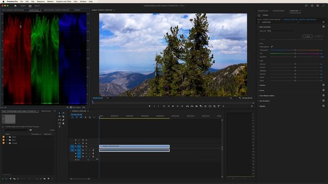 Understanding LUMETRI SCOPES In Adobe Premiere Pro