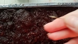 Как посадить прострел семенами