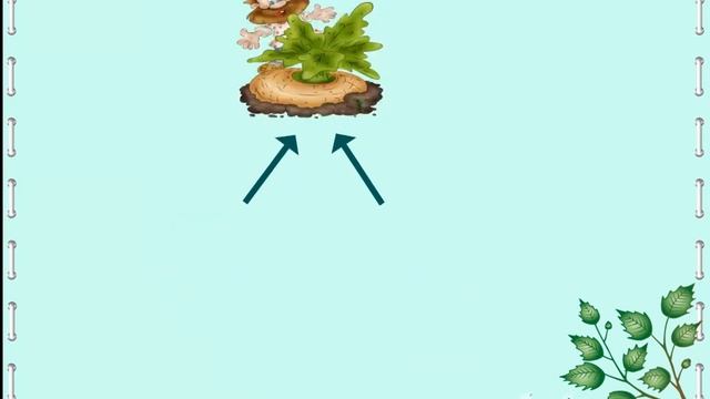 Математика 1 клас смотреть онлайн